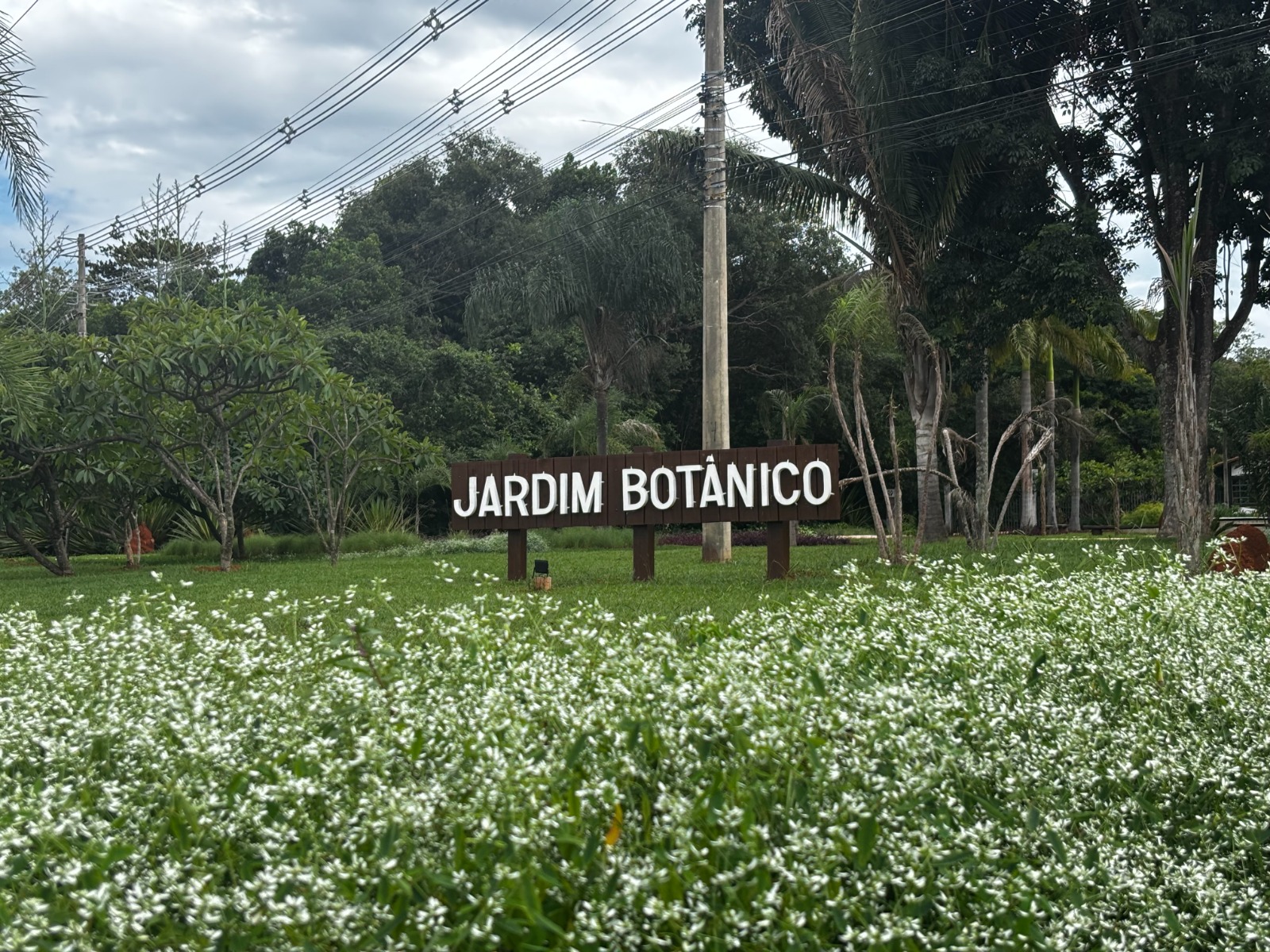 Jardim Botânico celebra 40 anos com entrada gratuita durante todo o mês de março