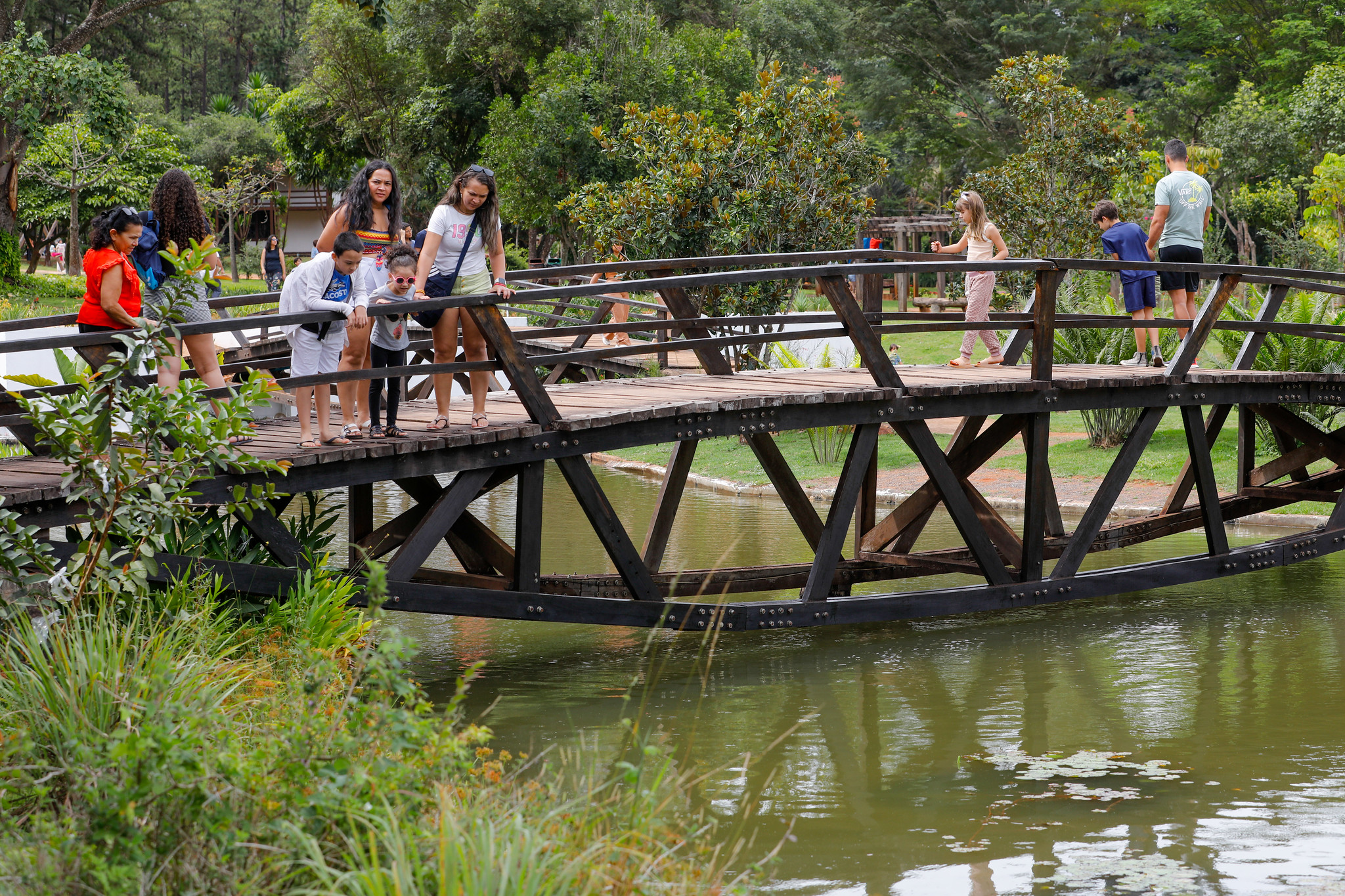 Zoológico de Brasília e Jardim Botânico terão acesso gratuito aos domingos e feriados