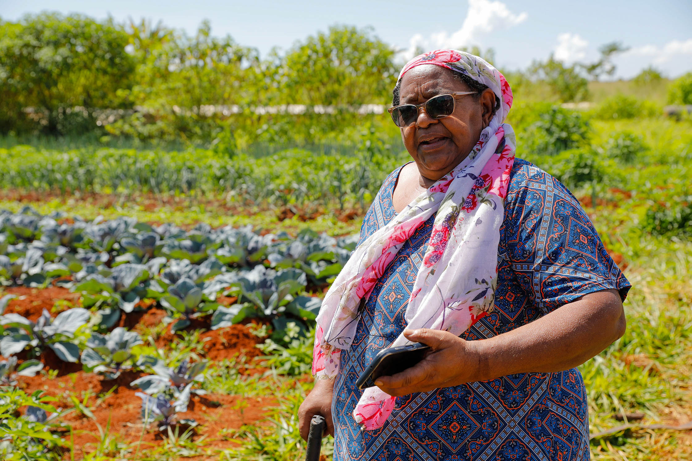 Protagonismo feminino no campo: 9,4 mil mulheres cultivam alimentos e fortalecem a agricultura familiar no DF