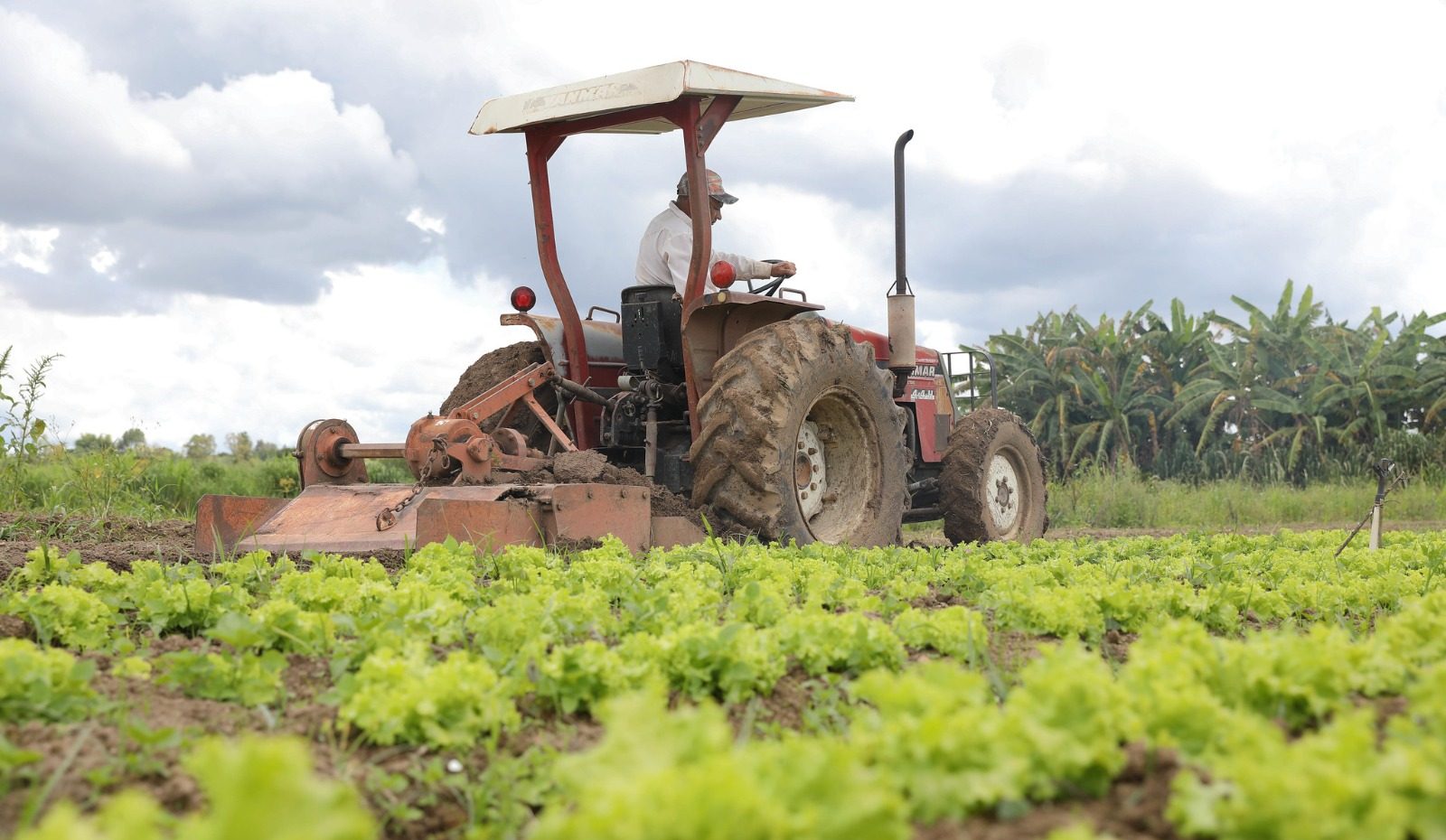 GDF inicia georreferenciamento de fazendas nas áreas rurais de São Sebastião